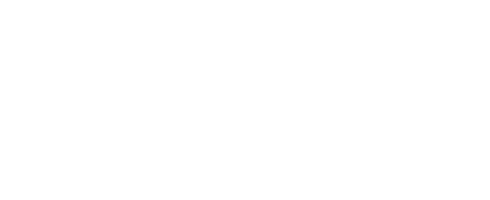 Im Qntrol Shop mit Visa zahlen